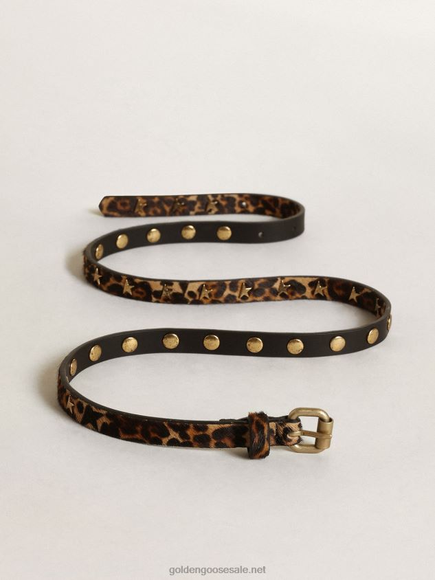 Molly black and brown leopard-print pony skin belt with star-shaped studs FN20N308 Women Golden Goose