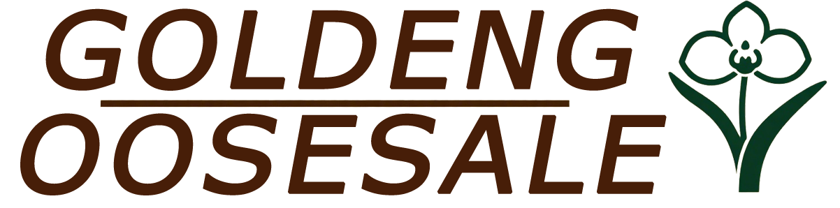 Goldengoosesale